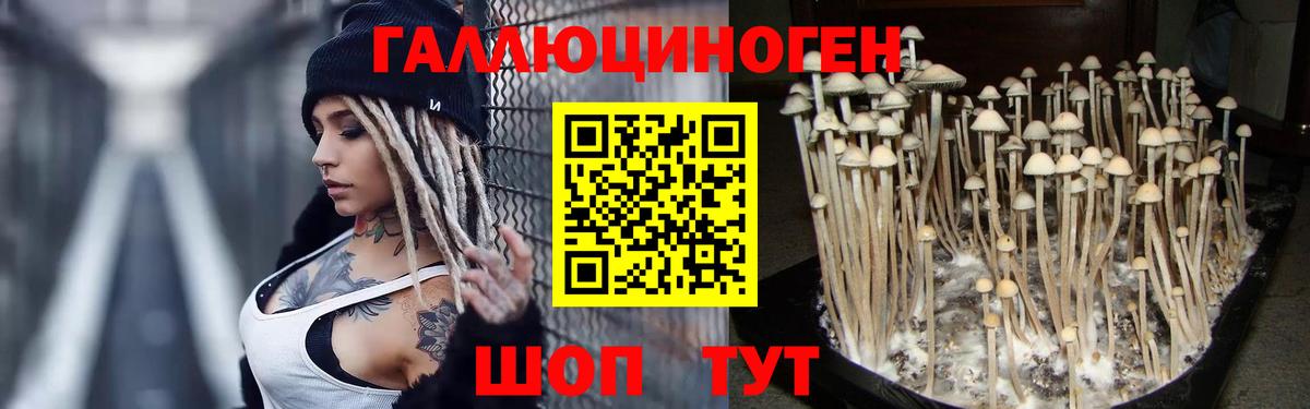 Орск  Галлюциногенные грибы ЛСД  Галлюциногенные грибы Psilocybe  цена наркотик  Вход с VPN 